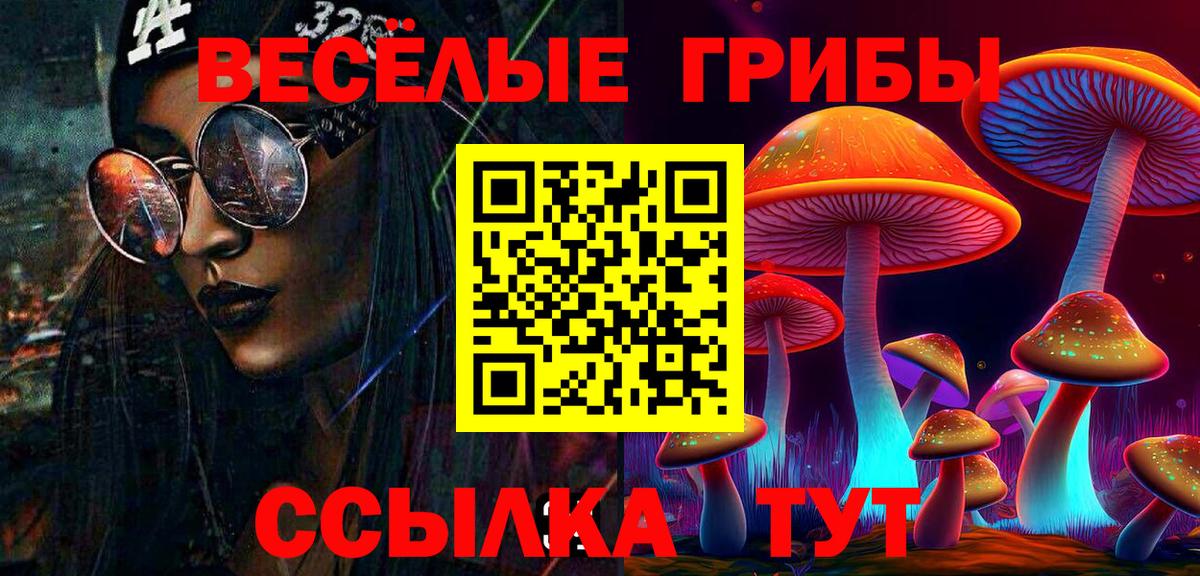 Галлюциногенные грибы GOLDEN TEACHER Брянск