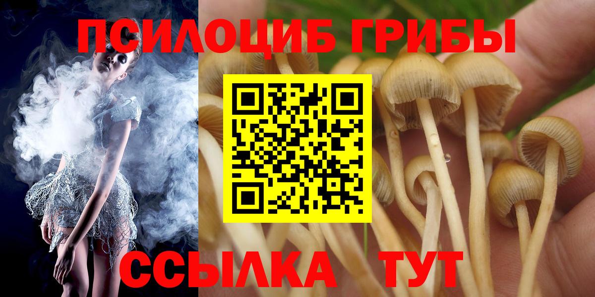 Галлюциногенные грибы мицелий  Вход с VPN  Брянск 